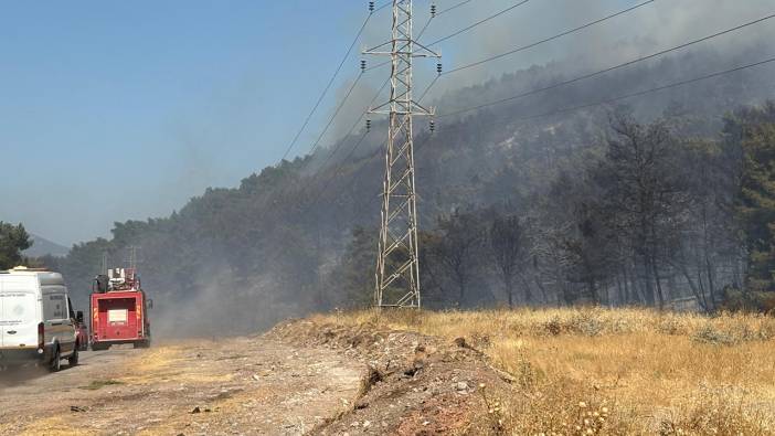 Manisa'da orman yangını!