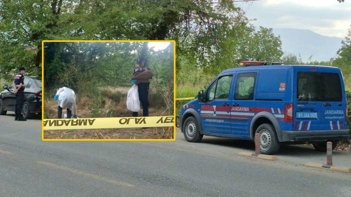 Tarlada kafatası ve kemikler bulundu: Jandarma harekete geçti!