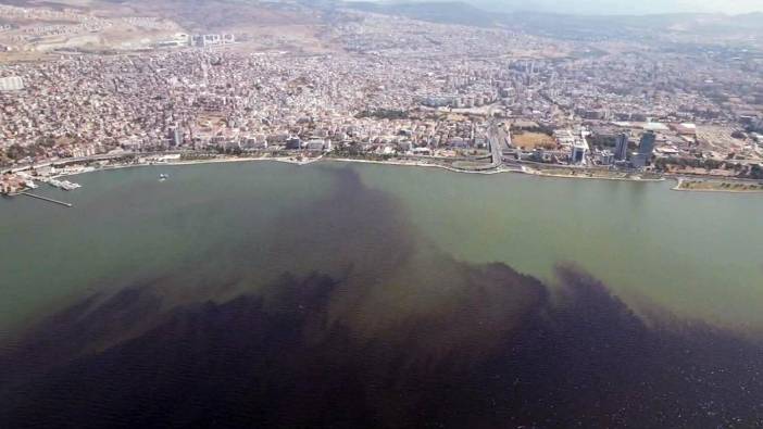 İzmir Körfezi'nde balık ölümleri azaldı ama tehlike bitmedi: 40 yıllık kirlilik 1-2 yılda düzelmez