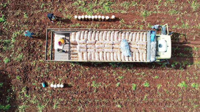 Ağustos ayında fiyatı en çok düşen ve yükselen ürün belli oldu