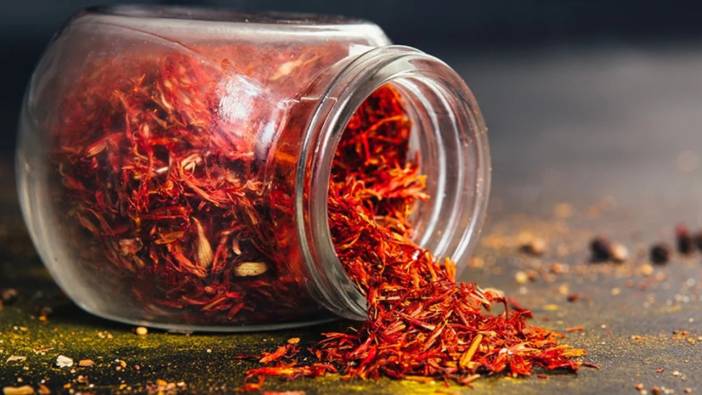 Safranbolu, dünyanın en pahalı baharatı için yeniden yeşeriyor: Kilogramı 450 bin lira