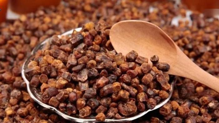 Arı ekmeği mucizesi... Tek tek toplanıyor, fiyatı ise cep yakıyor