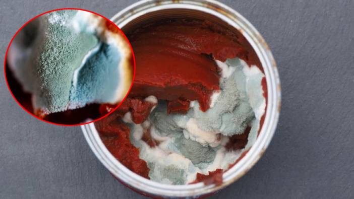 İki kardeşin ölümünde salça şüphesi: Konservelerdeki bu bakteriye dikkat!