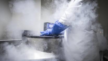 4 Türk bilim insanından kıkırdak ve kemik hücreleri üzerinde çığır açan tedavi araştırması