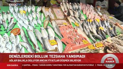 Balık bolluğu devam ediyor ama fiyatlar yüksek: Vatandaş balığa doyamıyor