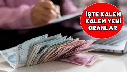 2025 yeni ehliyet ücreti, pasaport harcı, IMEI kaydı ücretleri ! İşte kalem kalem yeni oranlar