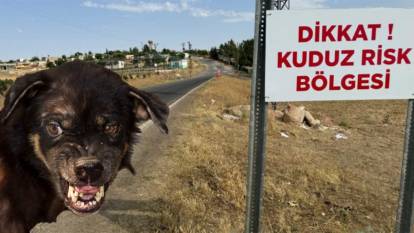 İki kişiyi ısırmıştı. Kuduz olduğu tespit edilen köpek nedeniyle bir mahalle riskli alan ilan edildi