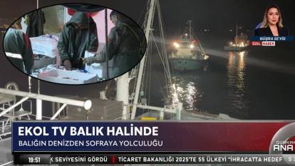 Ekol TV balık halinde: Balığın denizden sofraya yolculuğu…