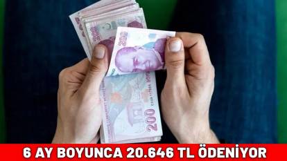 6 AY BOYUNCA 20.646 TL ÖDENİYOR: Başvuranın IBAN'ına hemen yatıyor