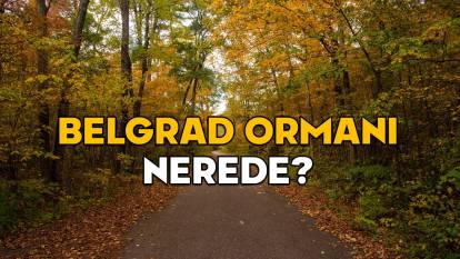 Belgrad Ormanı konumu ve büyüklüğü | Kayıp Ece Gürel'in arandığı Belgrad Ormanı nerede ve ne kadar büyük?