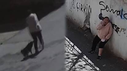 Başıboş köpek sokakta yürüyen kadına saldırdı: Bacağından aralanan talihsiz kadın hastaneye kaldırıldı