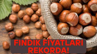 FINDIK FİYATLARI RESMEN UÇTU: 8 Mayıs Perşembe il il güncel fındık fiyatları