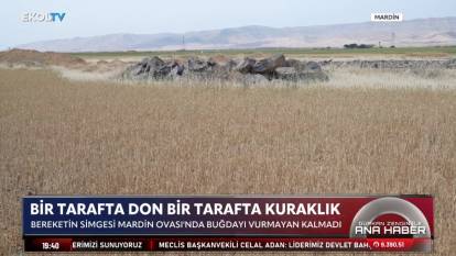 35 yıldır böyle kuraklık görülmedi: “85 milyonun sofrasına yansıyacak!”