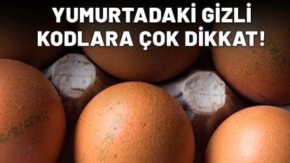 Ünlü diyetisyen Ersin Özdemir canlı yayında açıkladı: Yumurtadaki gizli kodlara dikkat! O veya 1 varsa....