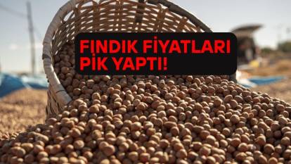 FINDIK FİYATLARI REKORDA: 12 Mayıs fındık fiyatları il il belli oldu. Fındık fiyatlarında son durum ne?