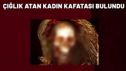 ÇIĞLIK ATAN KADIN KAFATASI BULUNDU: Görenlerin tüylerini ürpertecek cinsten!