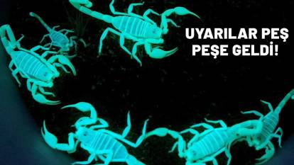 HAVALAR ISINDIKÇA TEHLİKENİN BOYUTU ARTTI: İstilacı ve zehirli akrepler için uyarılar peş peşe geldi!