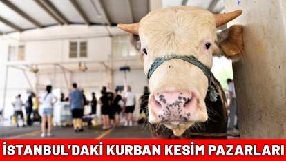 KURBAN KESİM YERLERİ 2025: İstanbul kurban satış ve kesim yerleri