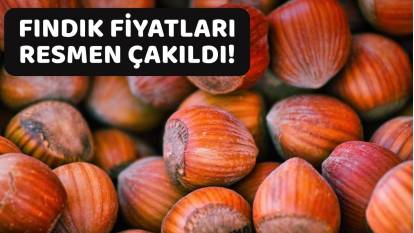 FINDIK FİYATLARINDA SERT DÜŞÜŞ: 15 Mayıs fındık fiyatları belli oldu. Fındık fiyatlarında son durum ne?