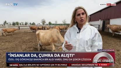 Özgül Hanım'ın çiftliği: Batacak dediler, ödüller aldık!