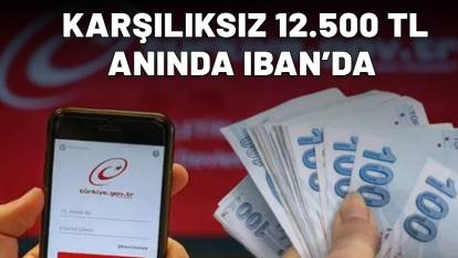 e-DEVLET'TEN BAŞVURULARI HEMEN YAPIN| Karşılıksız 12.500 TL anında IBAN'a yatacak!