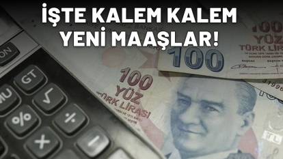 MEMUR, ÖĞRETMEN, DOKTOR, POLİS NE KADAR MAAŞ ALACAK? Kalem kalem hesaplandı! İşte  6 aylık enflasyon farkına göre maaş tablosu