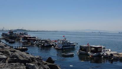 İstanbul Pendik'te balıkçılar şoke oldu: Oltasına köpekbalığı takıldı!