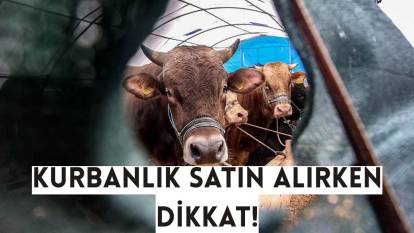 Kurbanlık satın alırken dikkat! Kurban ibadetiniz geçersiz olabilir