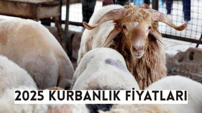 Küçükbaş ve büyükbaş kurbanlık fiyatları 2025: İstanbul, İzmir, Ankara, dana, koç, koyun kurbanlık fiyatları ne kadar, kaç TL?