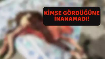 GÖREN DUA ETTİ: İneğin karnından çıkan buzağı Bartın'daki köylüleri ayağa kaldırdı!