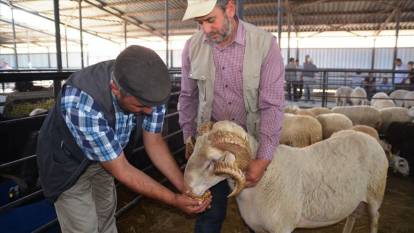 Kurban ne zaman ve nasıl kesilir? Bayramın kaçıncı gününe kadar kurban kesilmeli? (Kurban kesmenin şartları)