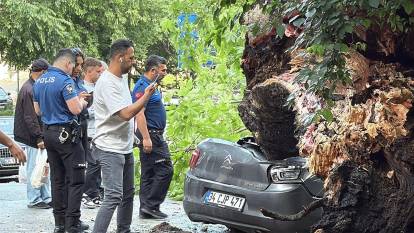 150 yıllık ağaç kökünden koparak devrildi!