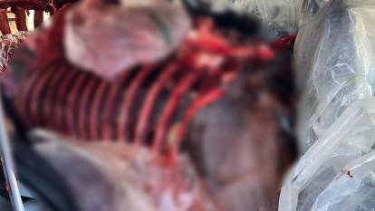 Adana'da et skandalı: 1 ton bozulmuş at eti ele geçirildi