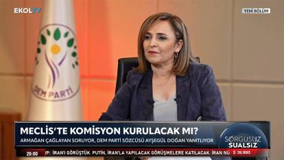 Devlet Bahçeli çağrı yapmıştı: DEM Parti Sözcüsü Doğan’dan komisyon açıklaması