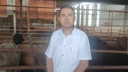 Kurbanlık dananın fotoğrafını çekmek isteyen iş insanı canından oldu