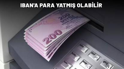 IBAN'A PARA YATMIŞ OLABİLİR: Hemen hesapları kontrol edin!