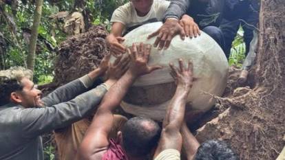 Ağacın altında insan kemikleriyle dolu küpler bulundu! Tarih yeniden yazılabilir