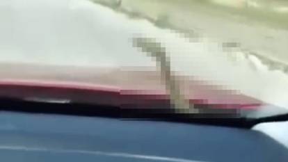 KÜTAHYA'DA ŞOKE EDEN GÖRÜNTÜLER: Seyir halindeki aracın kaputundan çıkan herkesi paniğe sürükledi