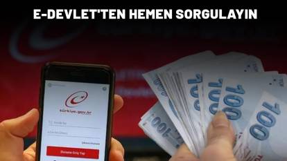 E-DEVLET'TEN HEMEN SORGULAYIN: Hesabınıza anında para geçebilir!