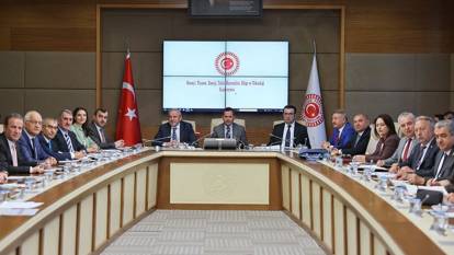 Meclis'te gergin anlar yaşanmıştı: 'Zeytinlik' maddesi komisyondan geçti!