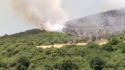 4 şehirde orman yangını: Havadan ve karadan müdahale sürüyor