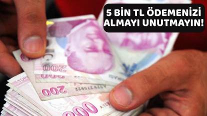 AİLE YILI KAPSAMINDA DESTEK ÖDEMELERİ BAŞLADI: 5 bin TL müjdesi geldi. O kişilere 5 bin TL ödeme yapılacak!