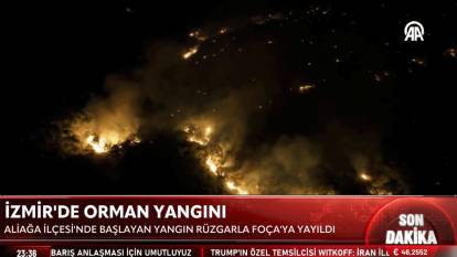 İzmir’de orman yangını: Evler tahliye edildi