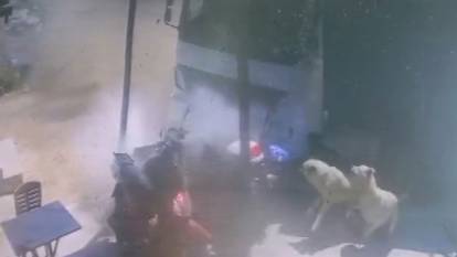 16 yaşındaki çocuk kamyonla dehşet saçtı! Önce konteyner iş yerine daha sonra da fırına çarptı