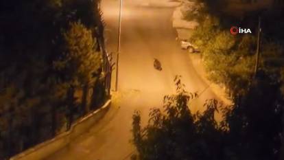 Ankara'da şaşırtan görüntü! Sokakta gezerken görüntülendi