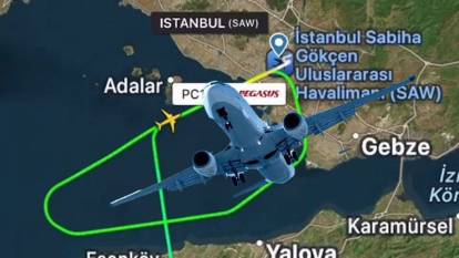 İstanbul'da havalimanında tavşan alarmı verildi: Bir uçak pisti pas geçmek zorunda kaldı