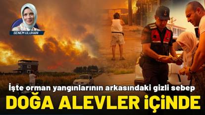 Doğa alevler içinde: İşte Orman yangınlarının arkasındaki gizli sebep