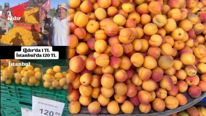"Iğdır'da kayısı 1 lira, İstanbul'da 120 lira" paylaşımına 1.4 milyon lira ceza kesildi