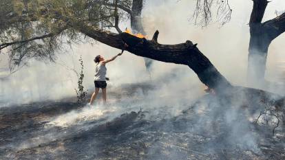 Son dakika! Antalya'da orman yangını