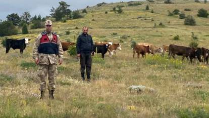 Erzincan'da kaybolan 19 büyükbaş drone ile Giresun sınırında bulundu